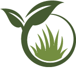 Key Japanese Maple Planting